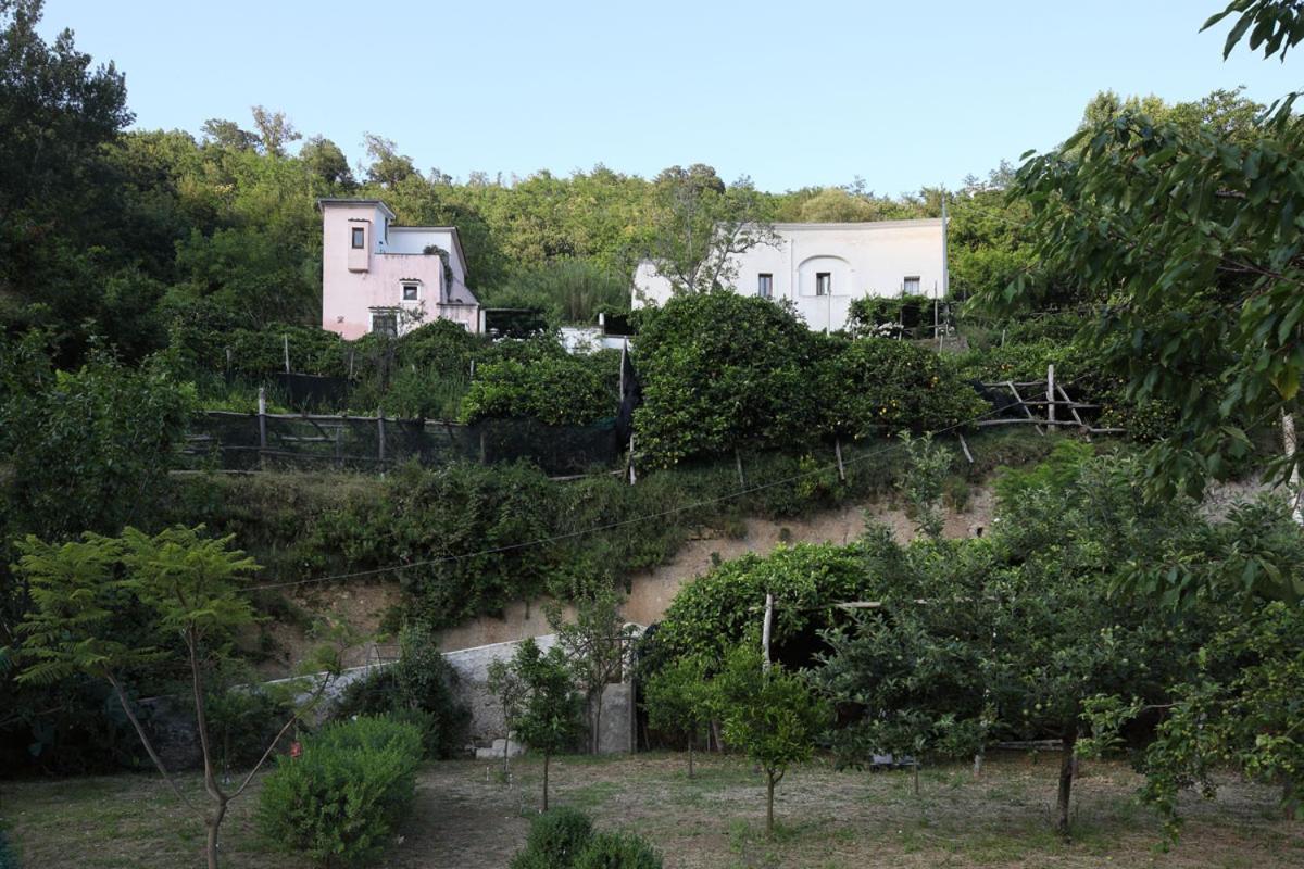 Pietra Rosa Bed & Breakfast ตรามอนติ ภายนอก รูปภาพ