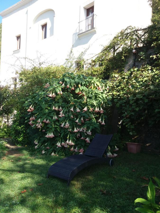 Pietra Rosa Bed & Breakfast ตรามอนติ ภายนอก รูปภาพ